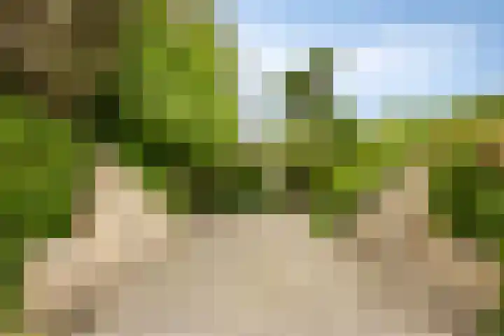 de Rik 6 b Tinte foto 2