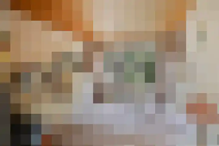 de Rik 6 b Tinte thumbnail 24