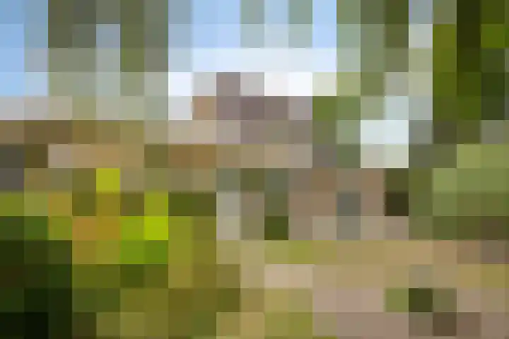 de Rik 6 b Tinte thumbnail 28