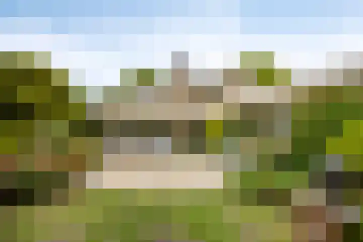 de Rik 6 b Tinte thumbnail 29