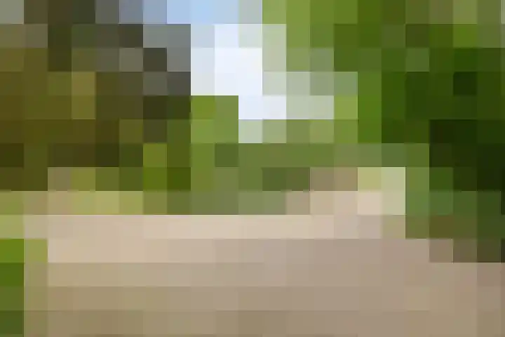 de Rik 6 b Tinte foto 3