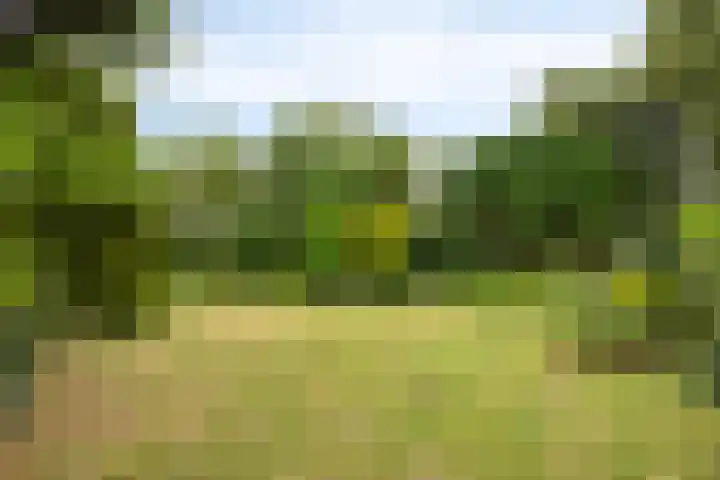 de Rik 6 b Tinte thumbnail 31