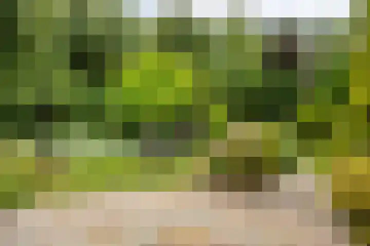 de Rik 6 b Tinte thumbnail 32