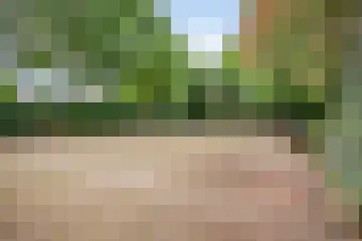 de Rik 6 b Tinte thumbnail 33