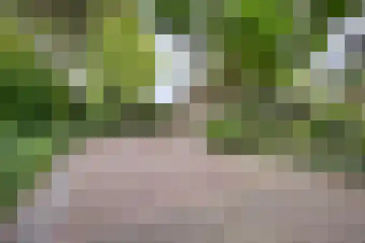 de Rik 6 b Tinte thumbnail 34