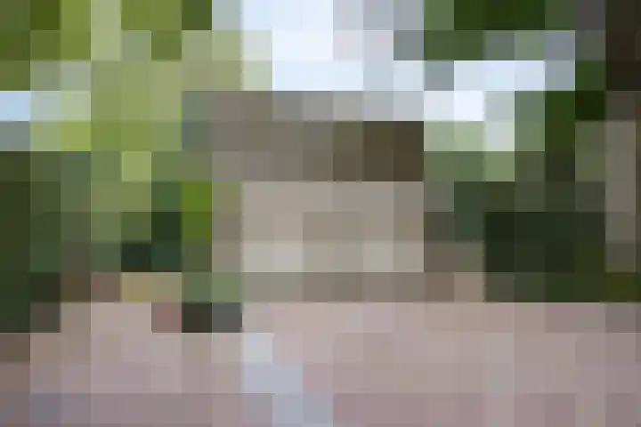 de Rik 6 b Tinte thumbnail 35