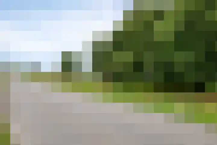 de Rik 6 b Tinte thumbnail 39