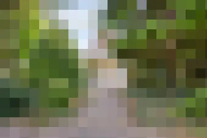 de Rik 6 b Tinte thumbnail 4