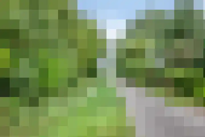 de Rik 6 b Tinte thumbnail 40
