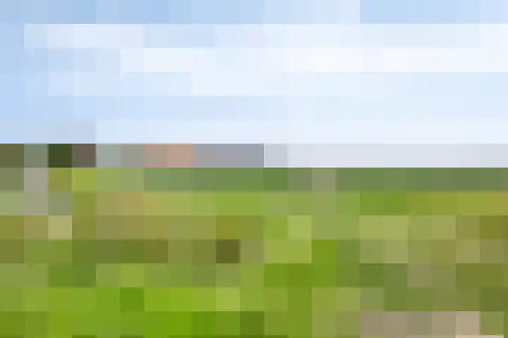 de Rik 6 b Tinte thumbnail 41