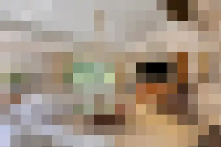 de Rik 6 b Tinte thumbnail 7