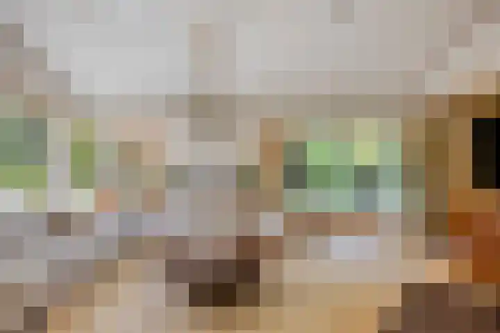 de Rik 6 b Tinte thumbnail 8