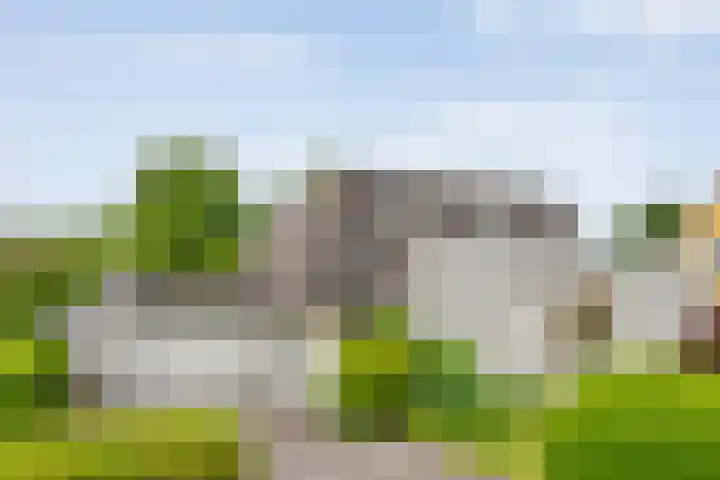 De Rikken 28 Vledder
