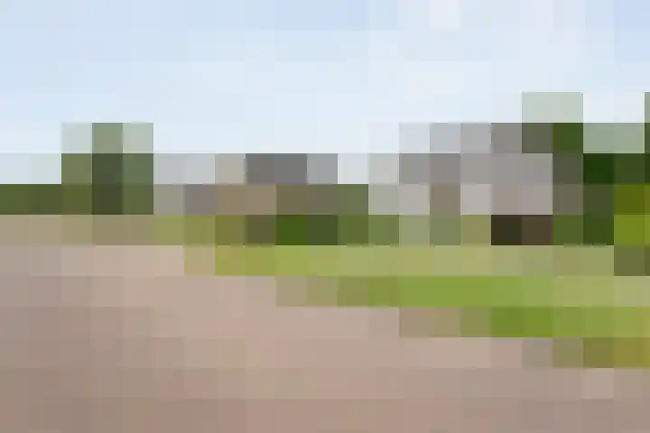 De Rikken 28 Vledder thumbnail 11