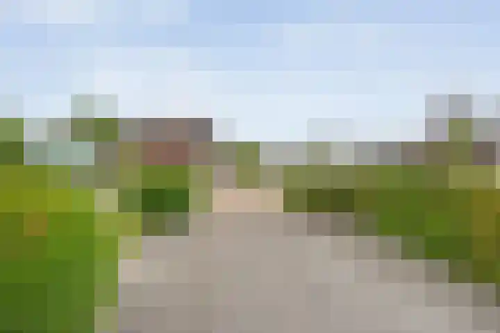 De Rikken 28 Vledder thumbnail 12