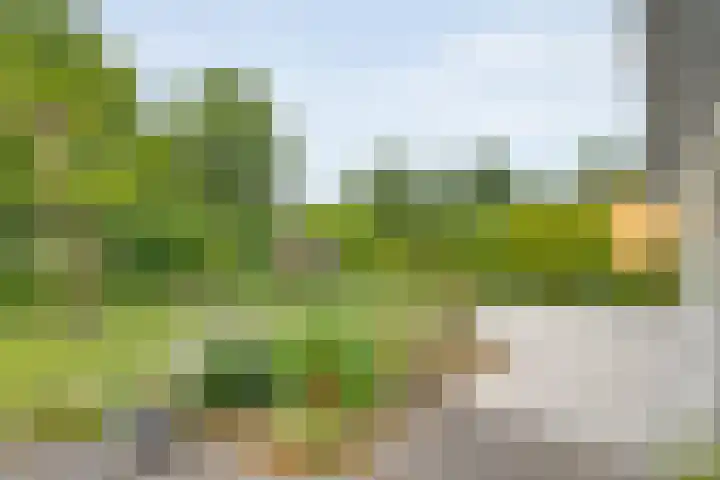 De Rikken 28 Vledder thumbnail 33