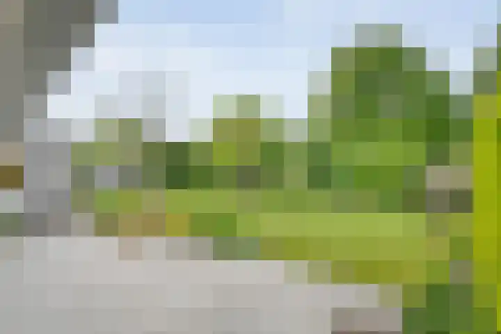 De Rikken 28 Vledder thumbnail 34