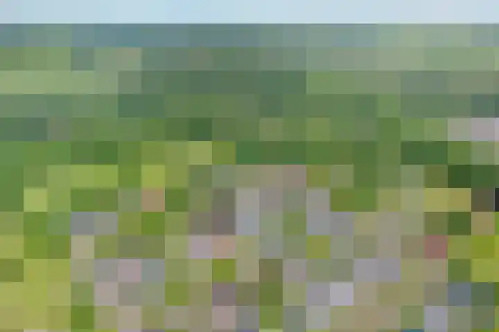 De Rikken 28 Vledder thumbnail 5