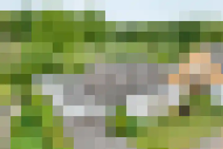 De Rikken 28 Vledder thumbnail 7
