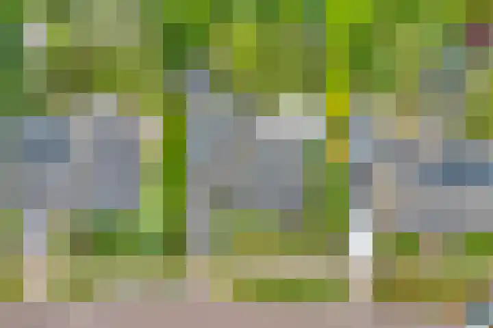 De Rikken 28 Vledder thumbnail 8