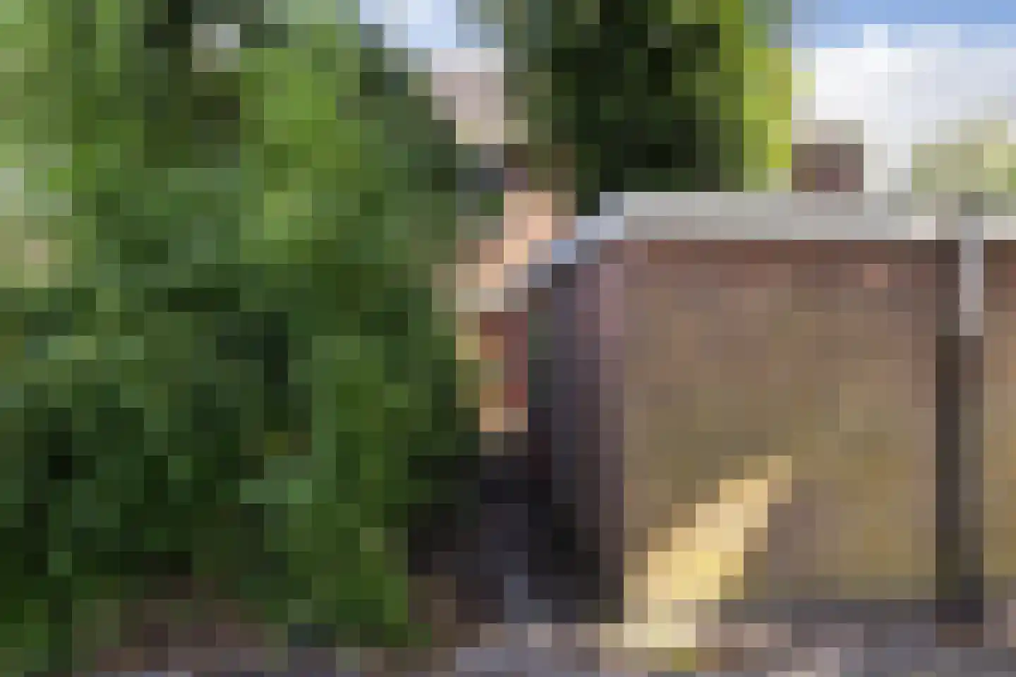 de Rikking 28 Steenwijk thumbnail 4