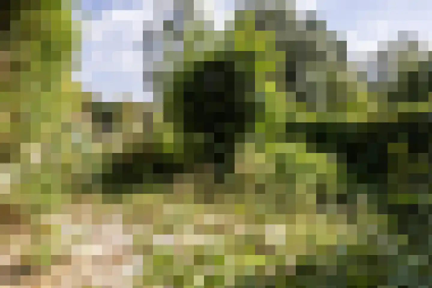 de Rikking 28 Steenwijk thumbnail 5