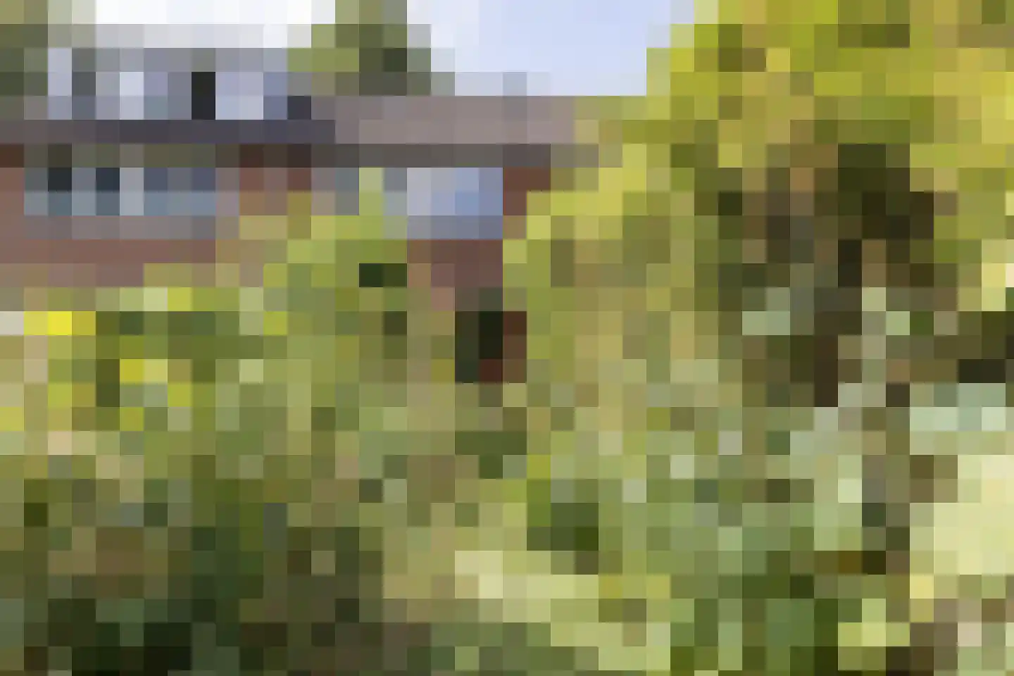 de Rikking 28 Steenwijk thumbnail 6