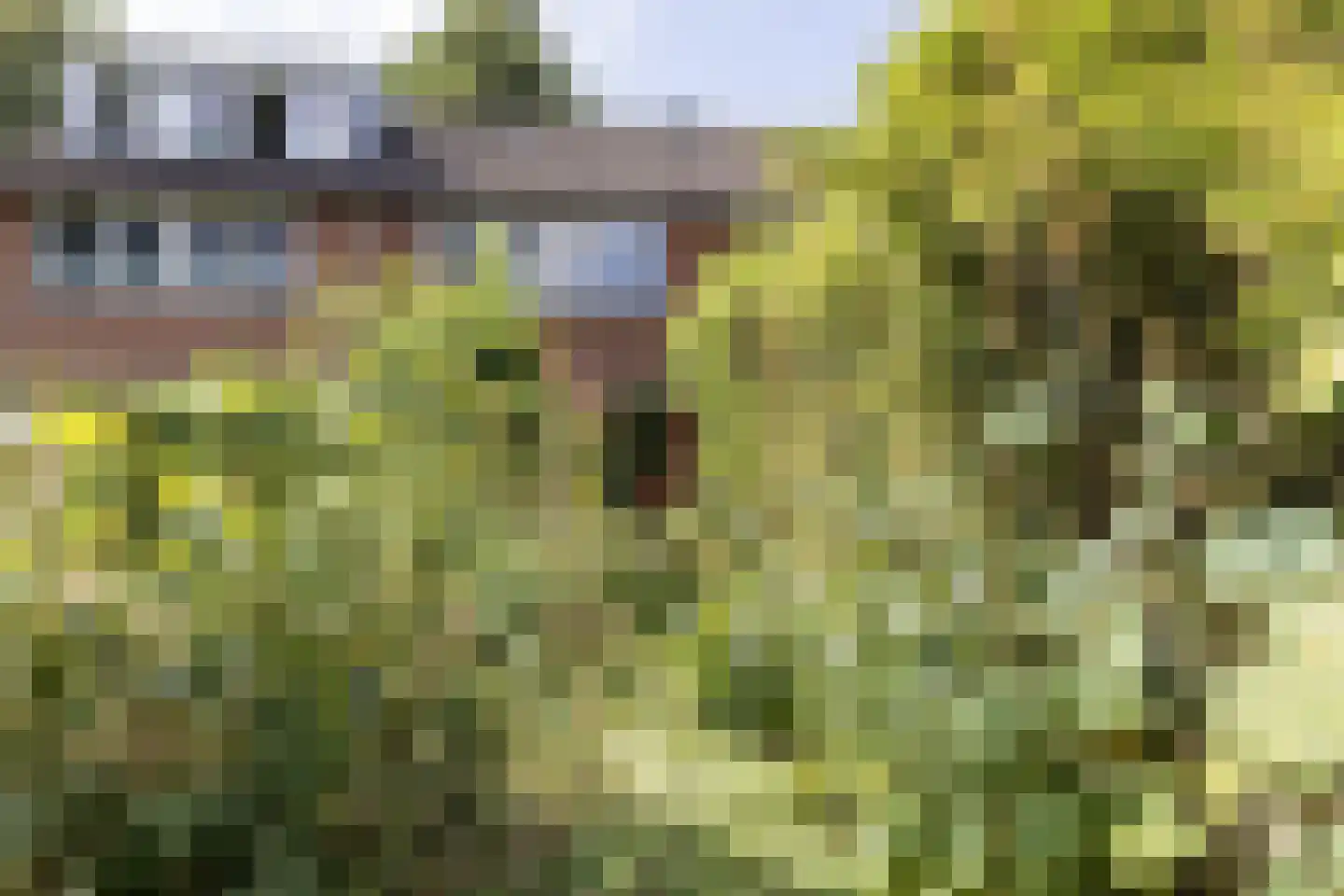 de Rikking 28 Steenwijk thumbnail 6