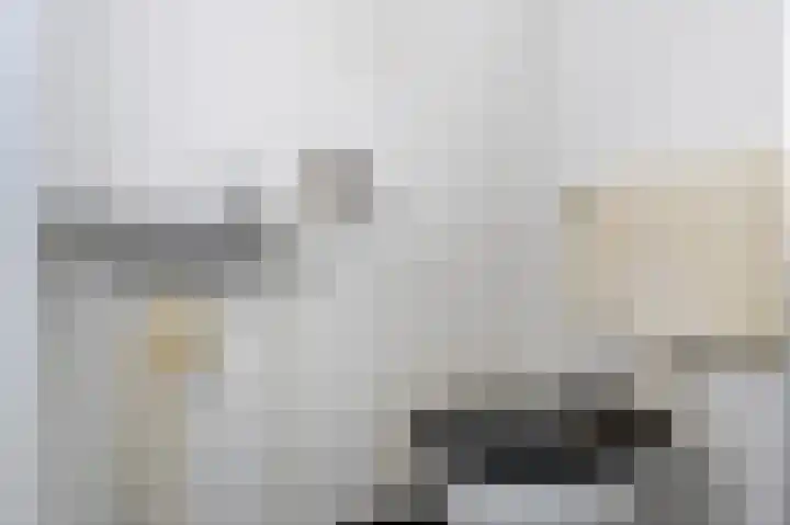 de Rikking 3 Steenwijk thumbnail 18