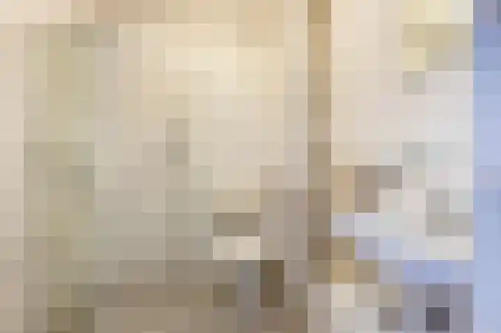 de Rikking 3 Steenwijk thumbnail 30