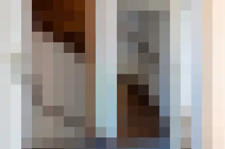de Rikking 3 Steenwijk thumbnail 31