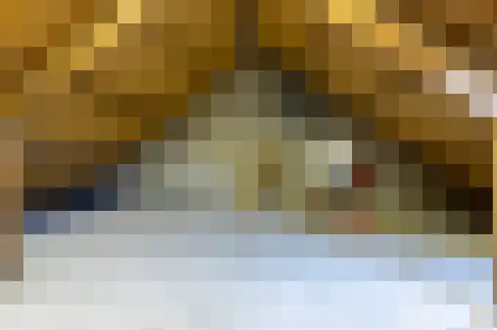 de Rikking 3 Steenwijk thumbnail 32
