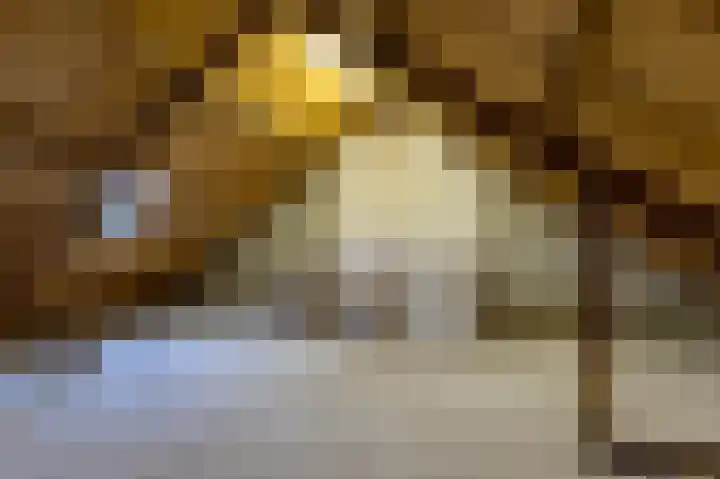 de Rikking 3 Steenwijk thumbnail 33