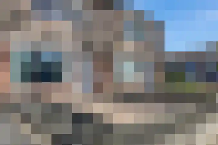 de Rikking 3 Steenwijk thumbnail 45