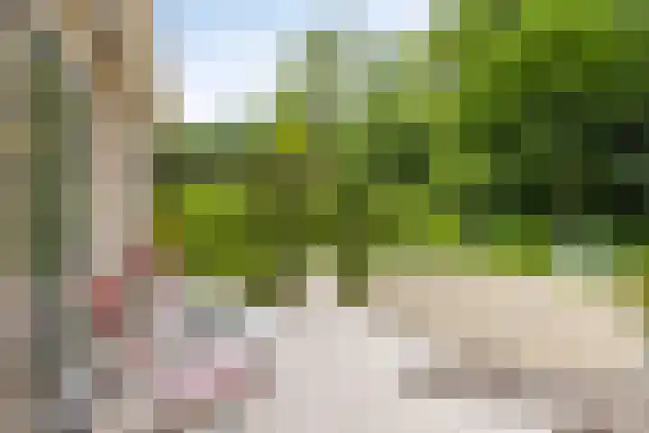 De Ring 17 Dronten thumbnail 37