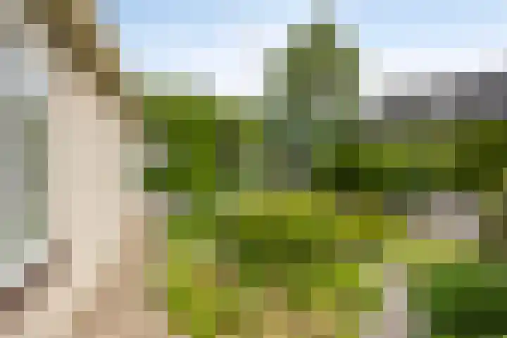 De Ring 17 Dronten thumbnail 40