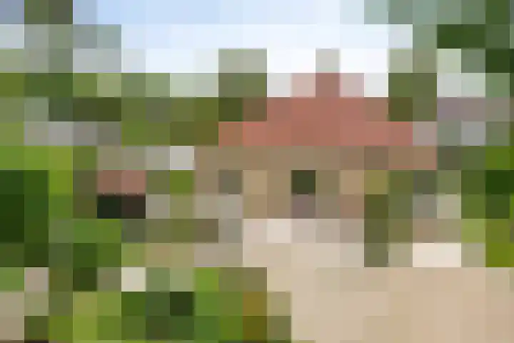 De Ring 17 Dronten thumbnail 43