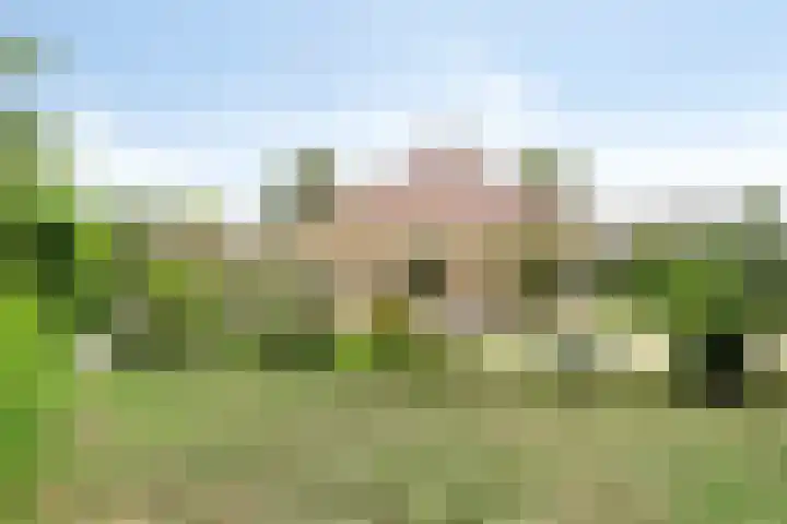 De Ring 17 Dronten thumbnail 47