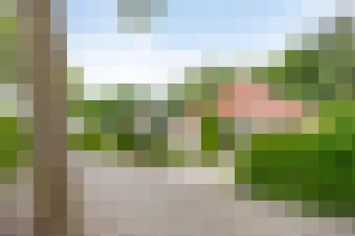 De Ring 17 Dronten thumbnail 48