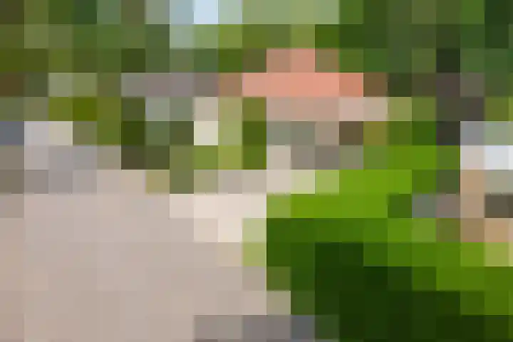 De Ring 17 Dronten thumbnail 5