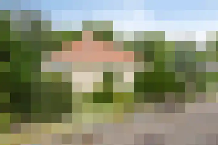 De Ring 17 Dronten thumbnail 50