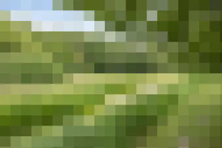 De Ring 17 Dronten thumbnail 52