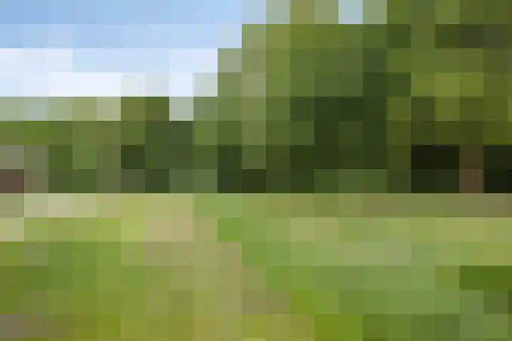 De Ring 17 Dronten thumbnail 53