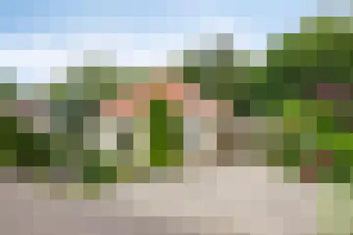 De Ring 17 Dronten thumbnail 7