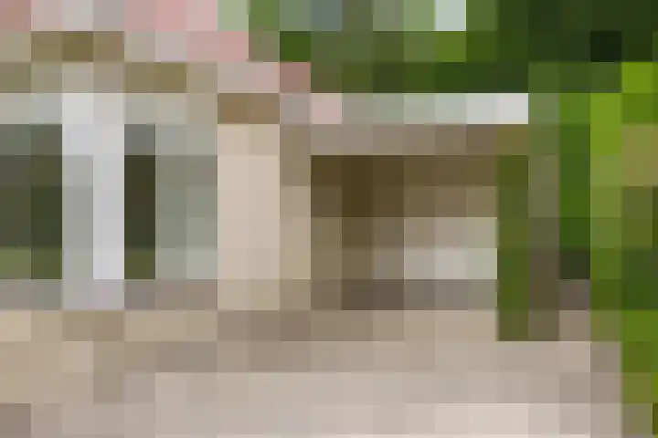 De Ring 17 Dronten thumbnail 8