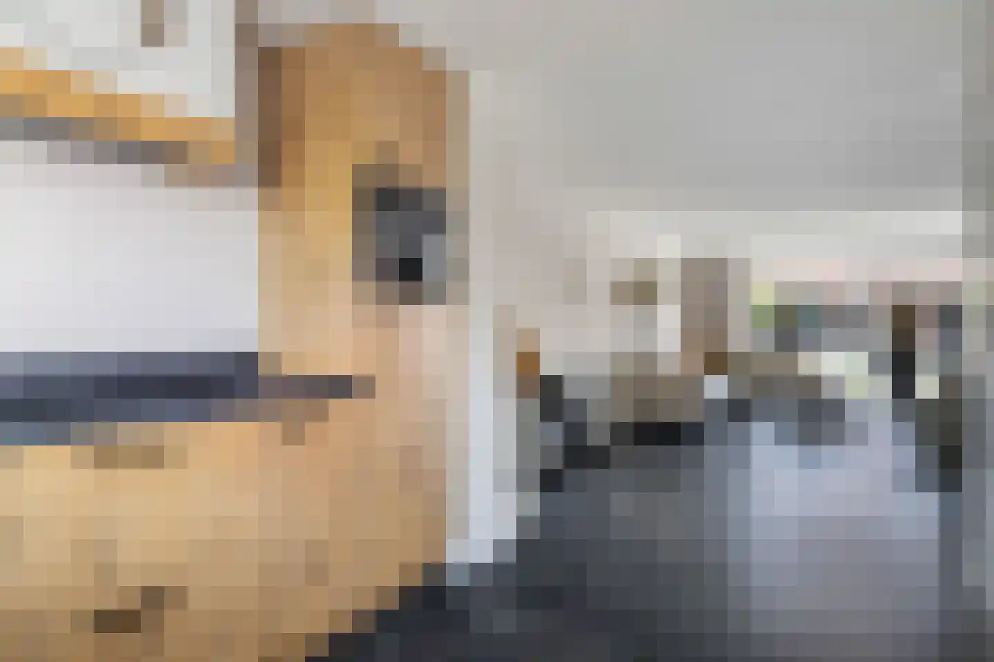 De Ring 20 Wekerom thumbnail 10