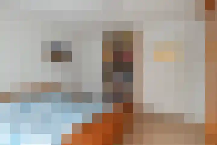 de Ring 31 Leutingewolde thumbnail 23