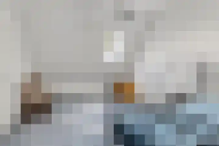 de Ring 31 Leutingewolde thumbnail 34