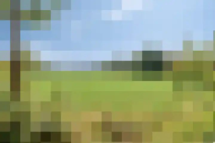 de Ring 31 Leutingewolde thumbnail 4