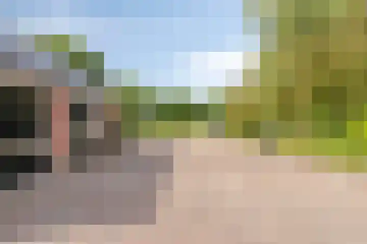 de Ring 31 Leutingewolde thumbnail 41